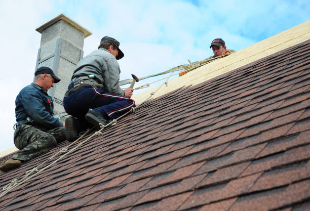 Best Roof Gutter Cleaning  in Kosciusko, MS